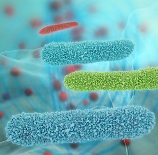 Legionella and Legionnaire’s diseas